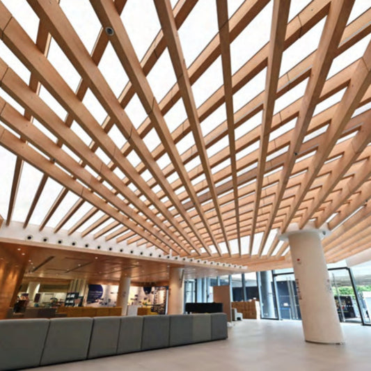 Barrisol Stretch Ceiling